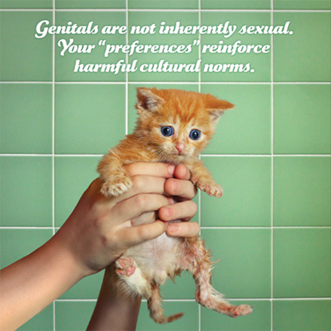 SJW kitten delivers the truth bomb.