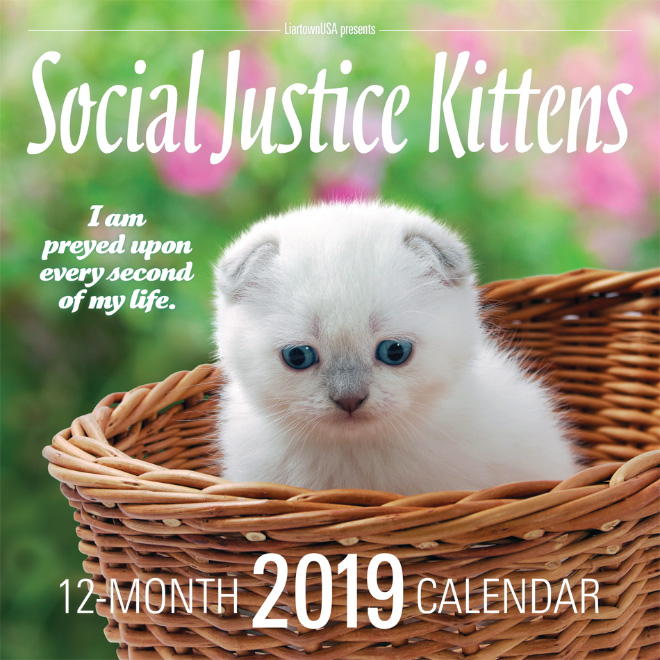 Social Justice Kittens 2019 calendar cover.