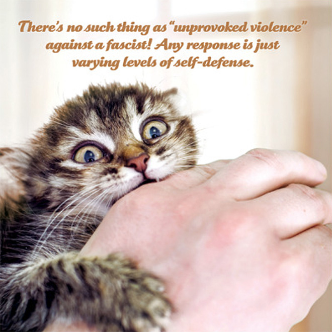 Social justice kitten delivers the truth.
