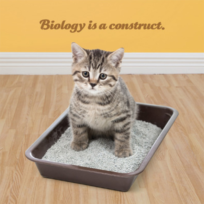 Biology is a construct.