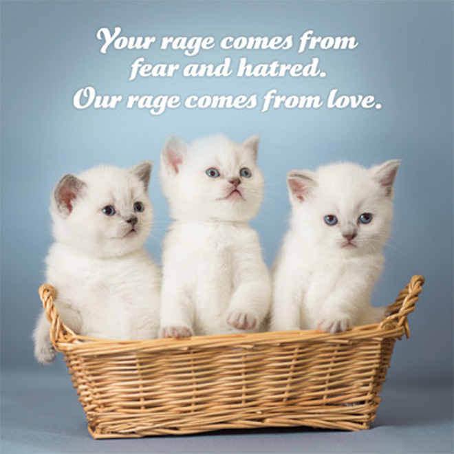 Our rage comes from love.