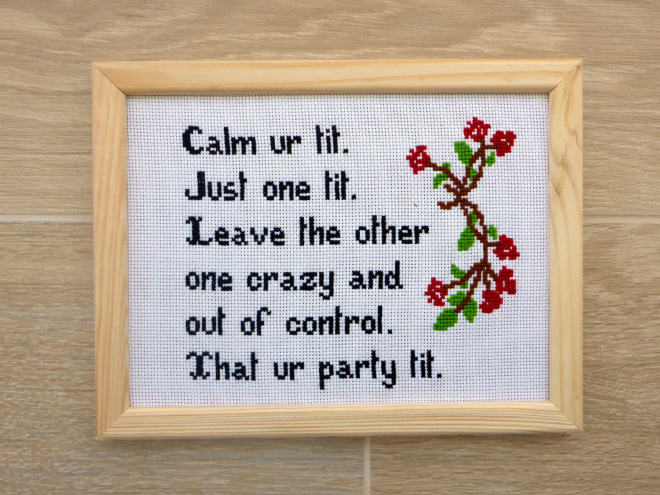 Hilarious cross stitch your grandma wouldn't like.