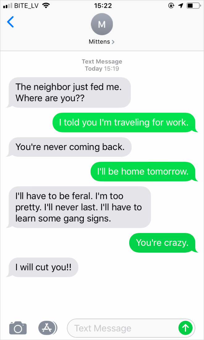 If cats could text...