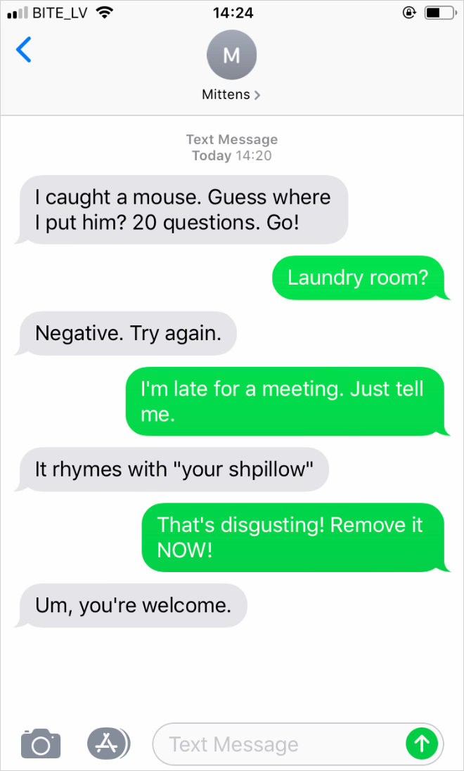 Texts from a cat.