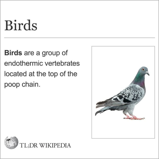 The definition of birds.