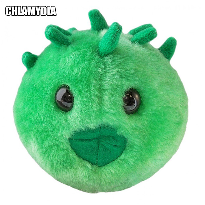 Cute disease plush toy.