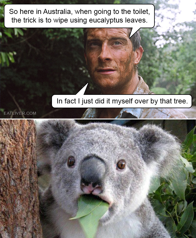 Survival tip from Bear Grylls.