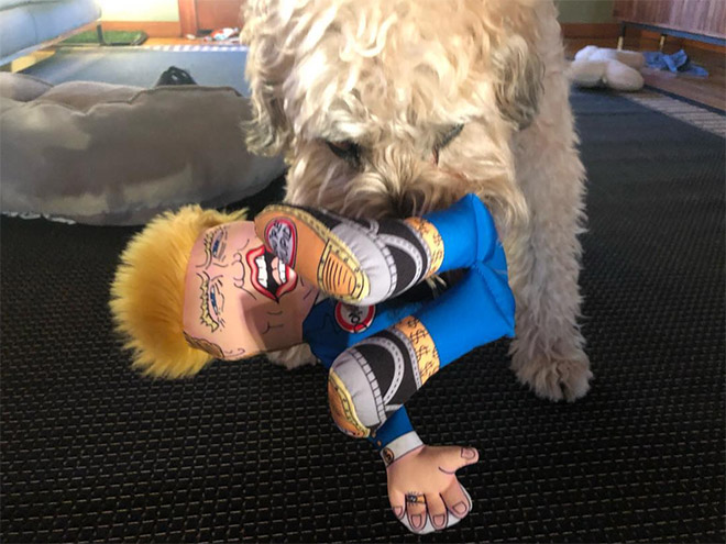 Dog attacking Donald Trump.