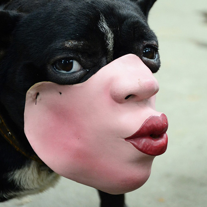 Creepy dog mask.