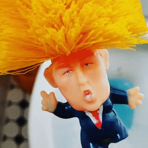 Donald Trump toilet brush.