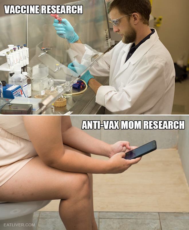 Vaccine research process.