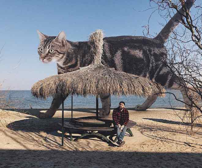 What if cats were huge?