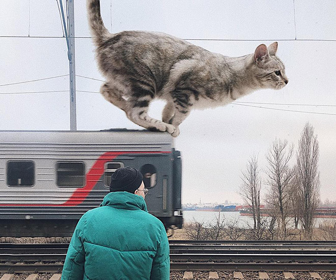 What if cats were huge?