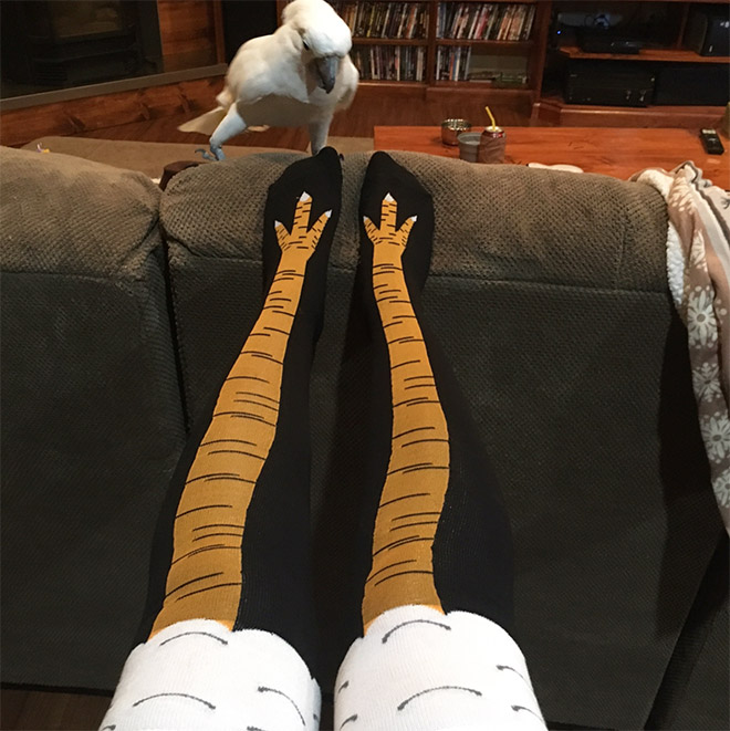 Funny chicken leg socks.