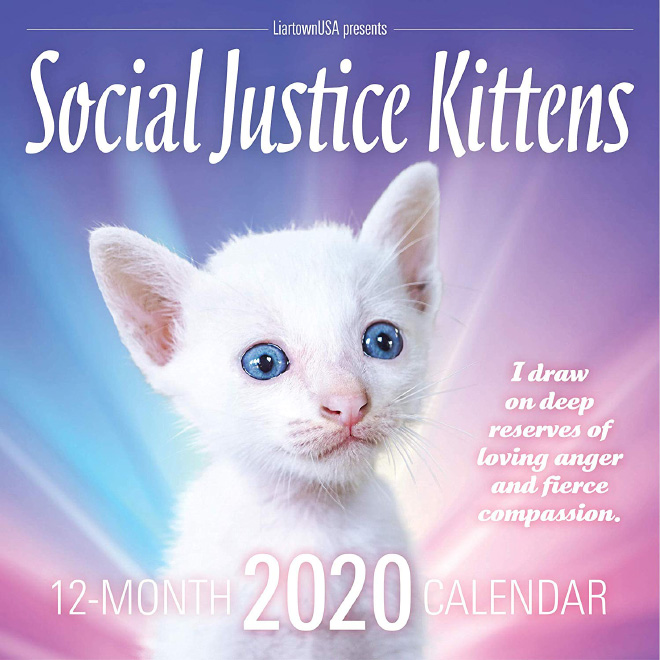 A page from Social Justice Kittens calendar.
