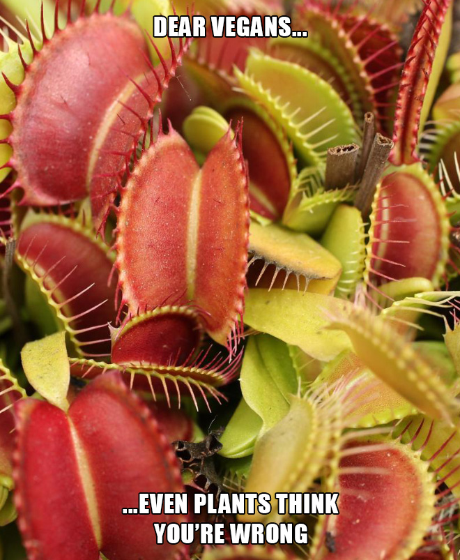 Even plants think you are wrong.