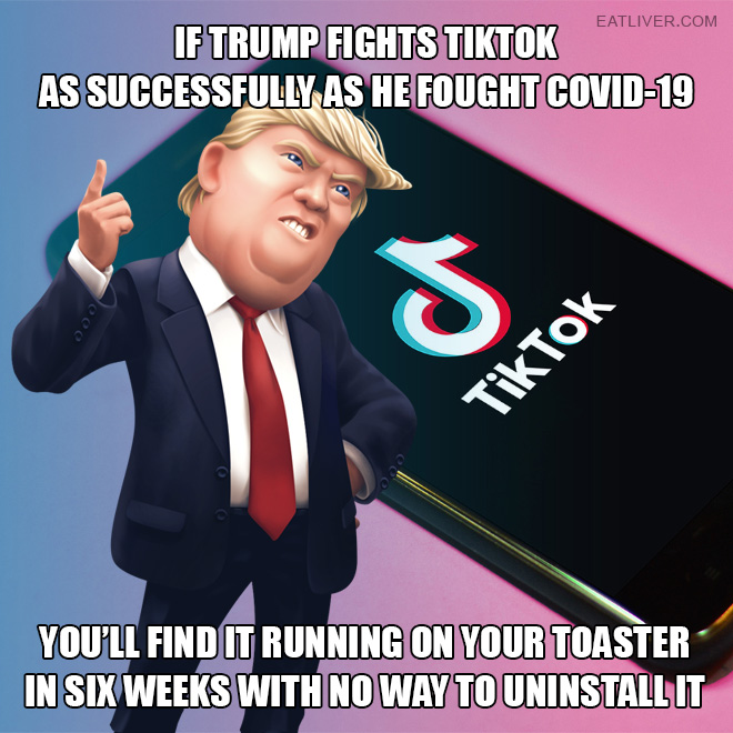If Trump fights TikTok as successfully as he fought Covid-19, you'll find it running on your toaster in six weeks with no way to uninstall it.