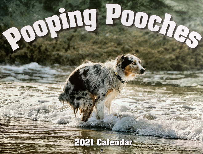 Pooping Pooches 2021 calendar.