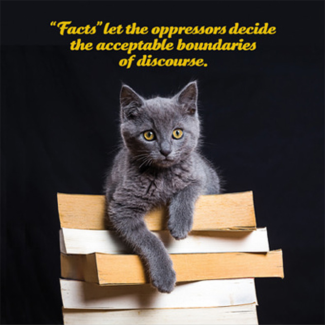Social justice kitten.