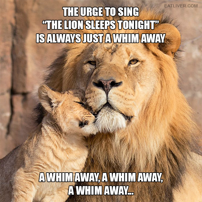 The urge to sing "The Lion Sleeps Tonight" is always just a whim away... a whim away, a whim away, a whim away...