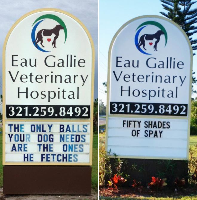 Brilliant vet signs.