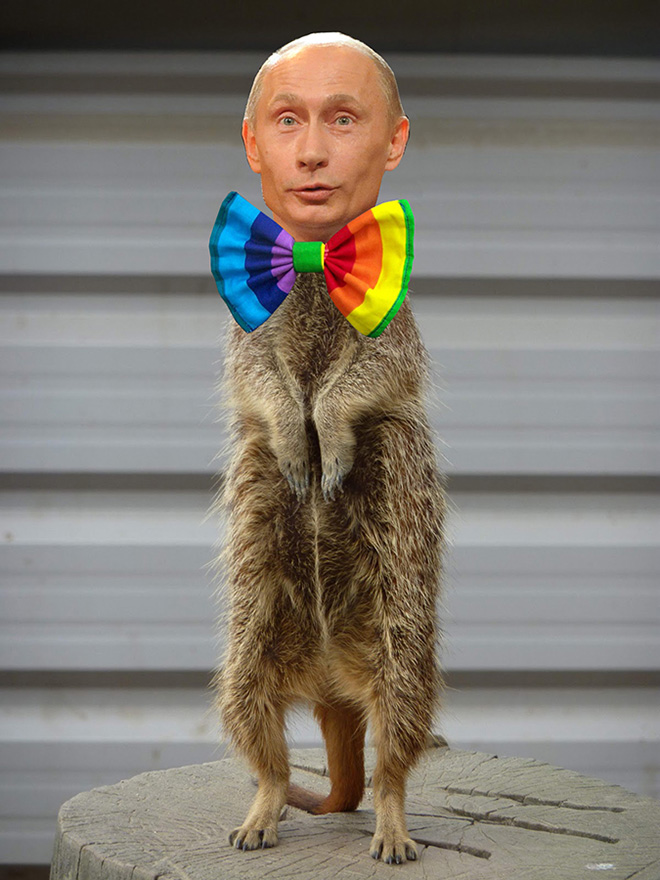 Putin loves rainbows.