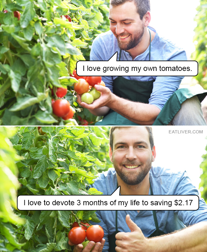 I love growing my own tomatoes. I love to devote 3 months of my life to saving $2.17