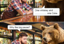 Looking For a Good Bear Pun? Check Out This One!