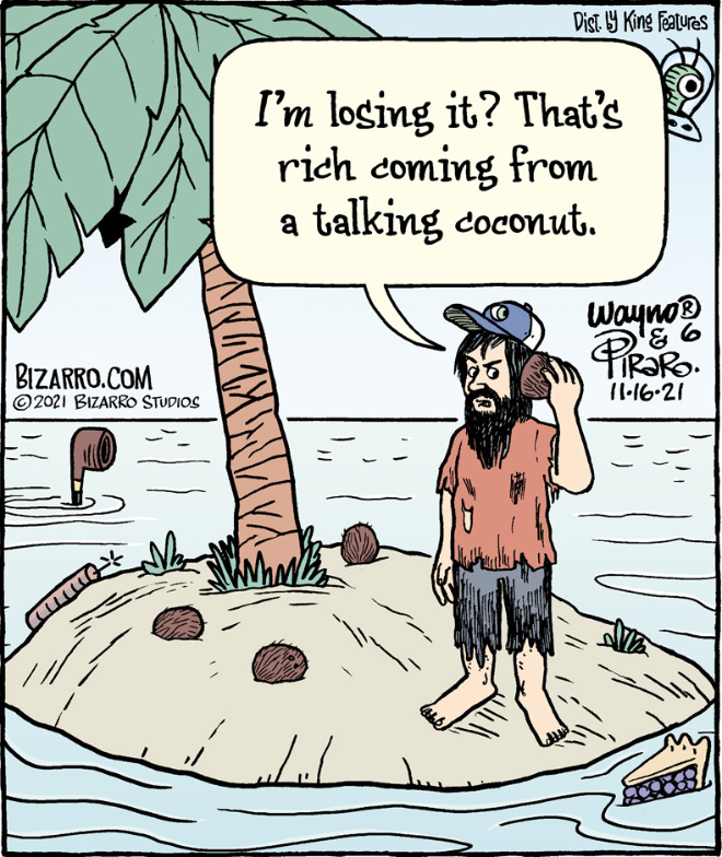 Funny single-panel comic by Bizarro.