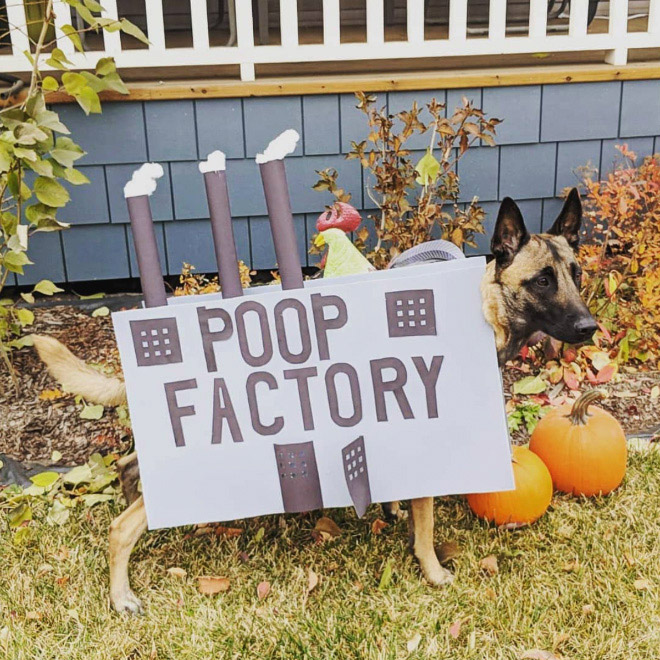Poop factory dog costume.