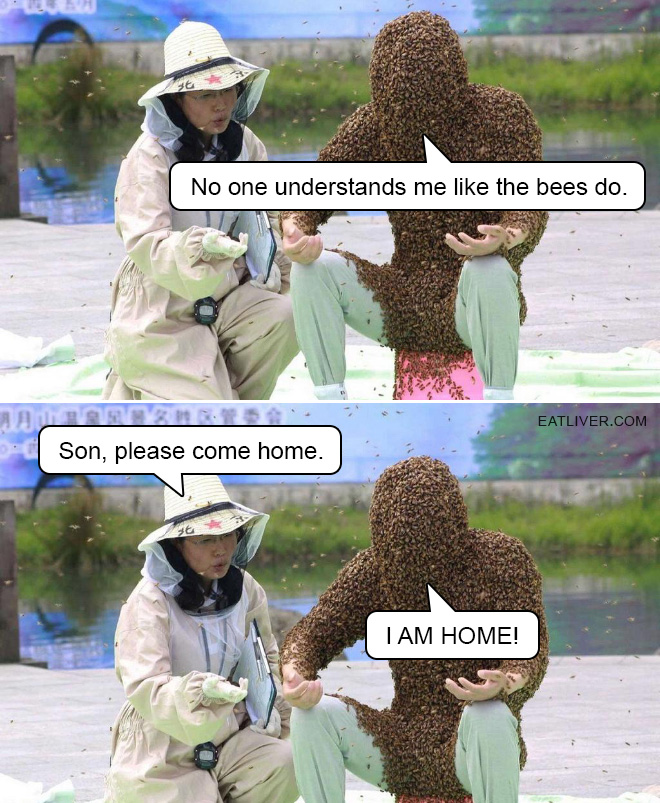 Bees don