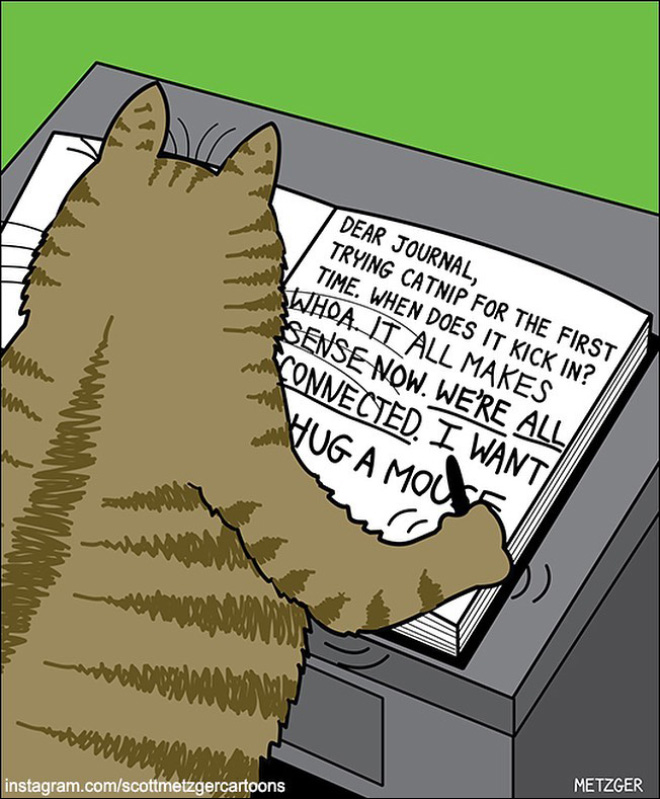 Funny cat cartoon.